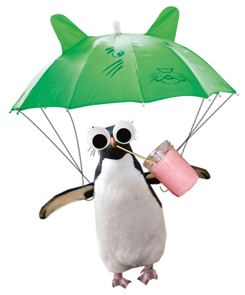 Pinguin mit Fallschirm und Getränk